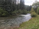IMG_0164.jpg