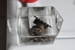 More PhotosSkippySprocketSoak 003.jpg