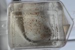 NewHouseRustRemovalVinegar 065.jpg