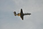 D90airplaneSquirrelCat 177.jpg