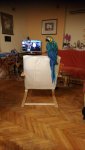 IMG-20171219-WA0071.jpg