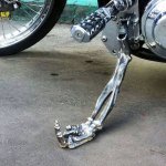 c77c53ca7b5a506d4b9e1638821ff601--skeletons-skulls.jpg
