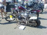 DSC09651.JPG