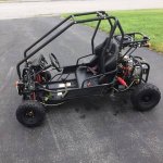 Gokart trailmaster.jpeg