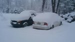 Resized_20171231_085513.jpg
