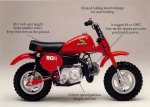 1981z50rAD.jpg