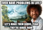 birds2.jpg