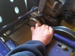 20180227_170900.jpg