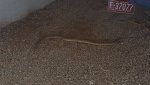 IMG_5040.JPG