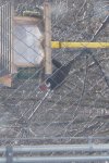 tiki,tires, kart 021.jpg