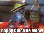 cinco.jpg