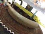 20180507_180842.jpg