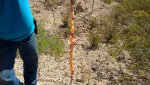 IMG_20170518_101517278.jpg