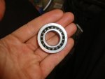 DSC01823.jpg