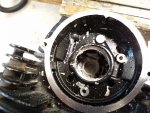IMG_20180814_164002891.jpg