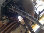 20180913_085957.jpg