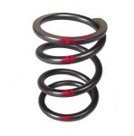 IMG_0431 36lbs valve spring.jpg