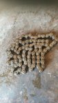 IMG-20181013-WA0013.jpg