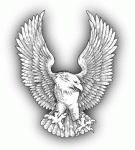 PE Eng Logo.gif