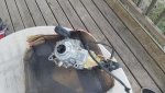 20190607_173916.jpg