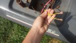 20190707_105317.jpg