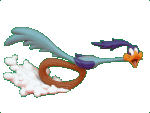 Road Runner.gif