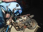 IMG_8527 mimi bike 2.jpg