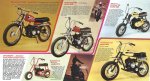 dynamark1972_cat_pg34s.jpg