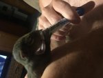 IMG_7383.jpg