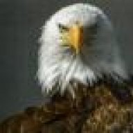 jhawk19