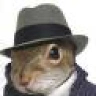SwimSquirrel