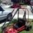 Yerf Dog Kart